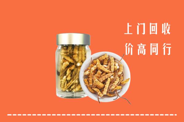 昭通回收冬虫夏草